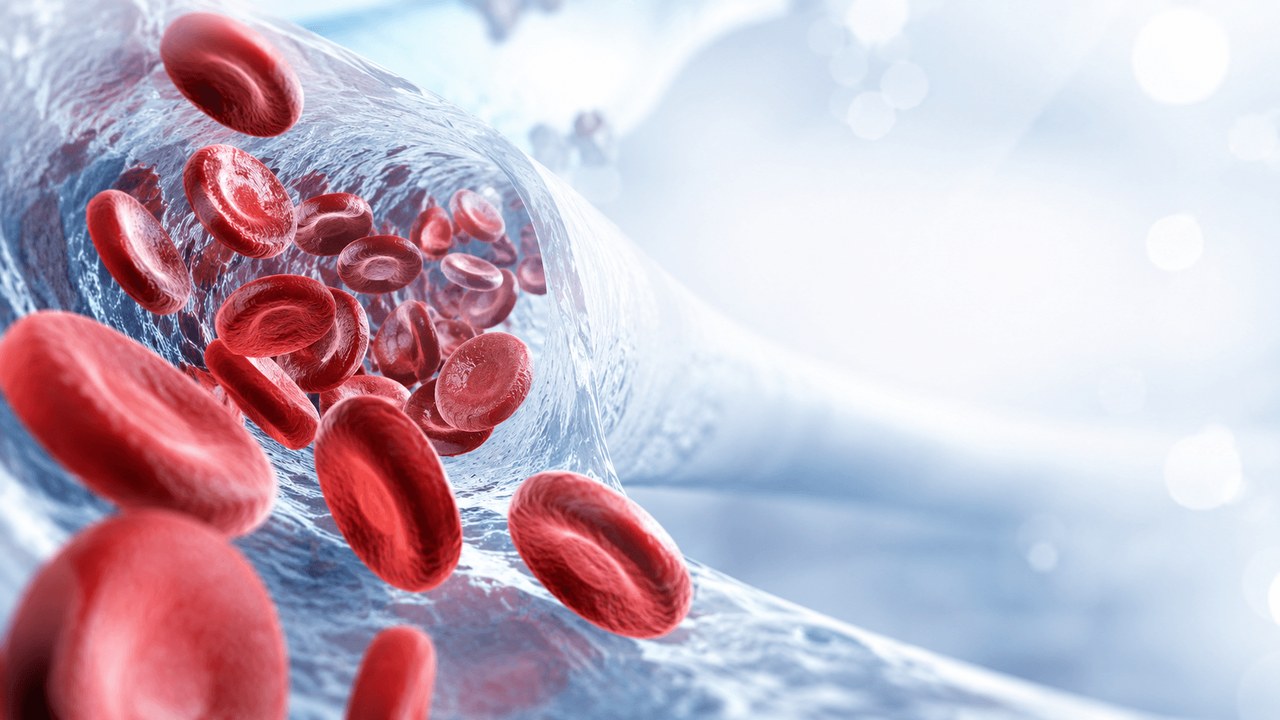Hematology Committee visual showing blood science and hematologic cells